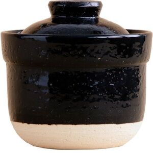 Iga no Takumi Instant Rice Pot Microwave Rice Cooker Clay Pot